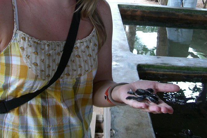 Explore Bentota Village: Guided Tuk Tuk Safari - Reviews and Ratings