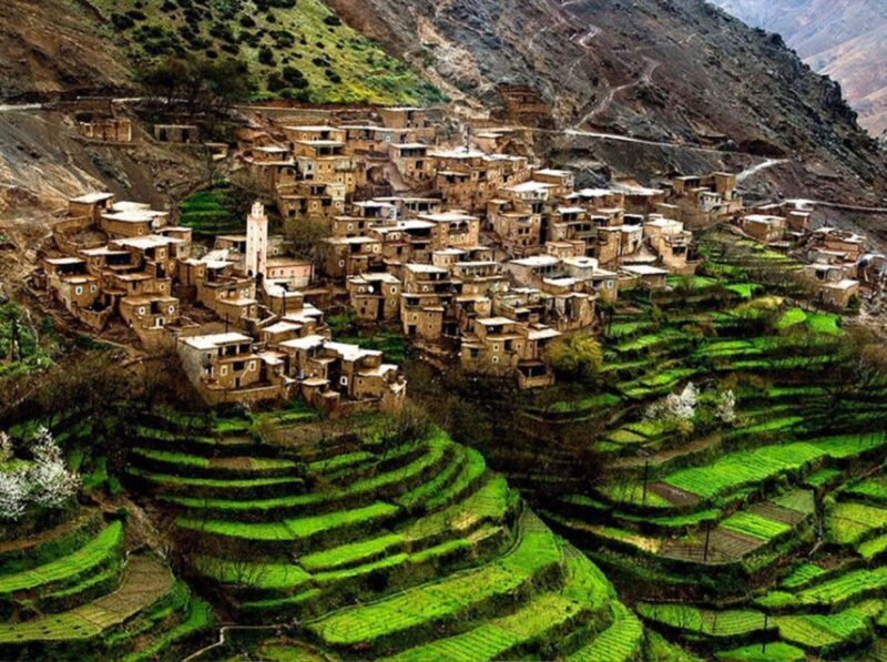Explore Berber Culture – ImlilL Valley - Camel and Mule Rides
