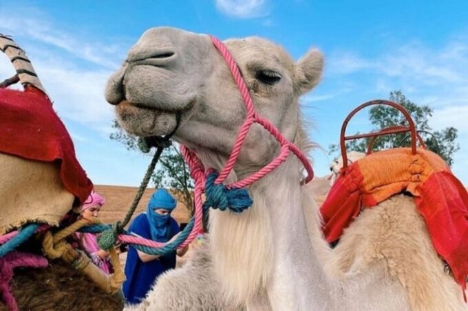Explore Berber Culture – ImlilL Valley - Cultural Immersion