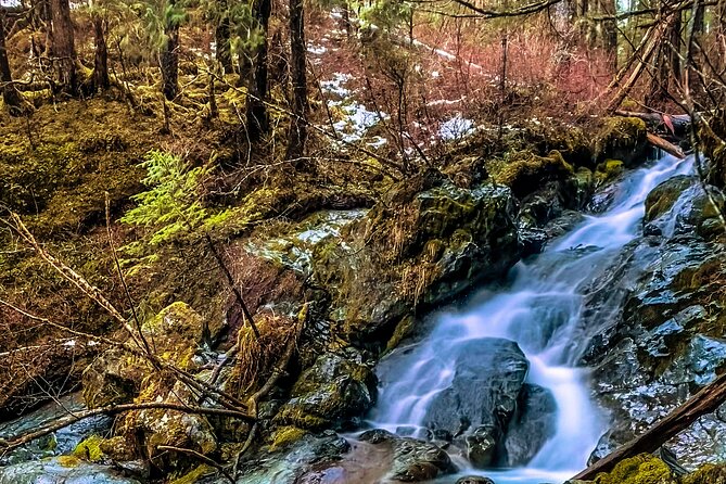 Explore Beyond the Dock: Unforgettable Private Tour in Sitka - Comfortable Transportation
