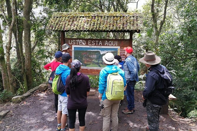 Explore Biodiversity in the Chicaque Cloud Forest Nature Reserve - Hiking Trails and Viewpoints