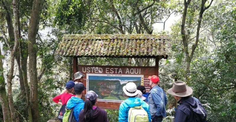Explore Biodiversity in the Chicaque Forest Nature Reserve - Key Points