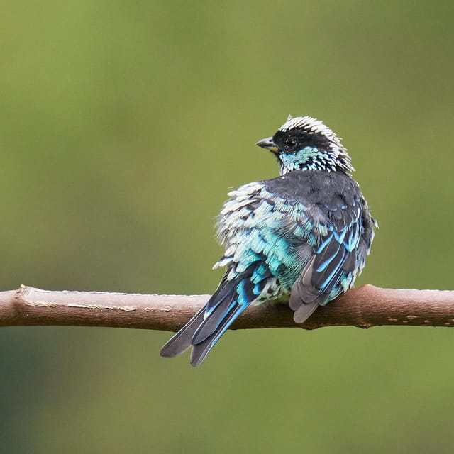 Explore Biodiversity in the Chicaque Forest Nature Reserve - Participant Requirements