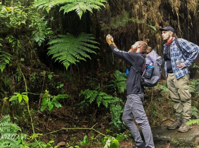 Explore Biodiversity in the Chicaque Forest Nature Reserve - Birding and Wildlife Watching