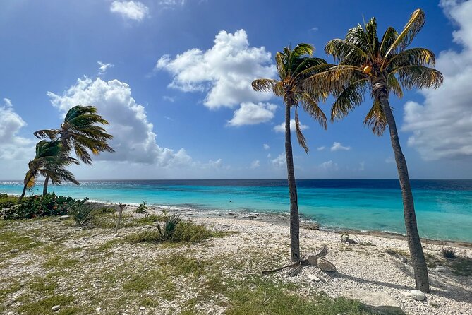 Explore Bonaire: North & South Tour - Traveler Feedback and Reviews