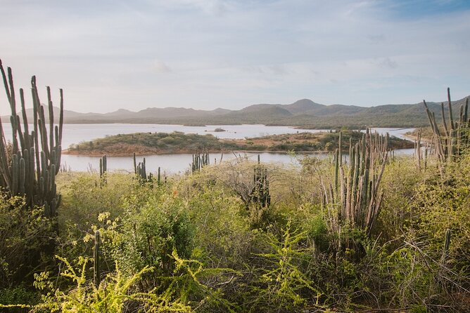 Explore Bonaire: North & South Tour - Tour Duration and Vehicle Comfort