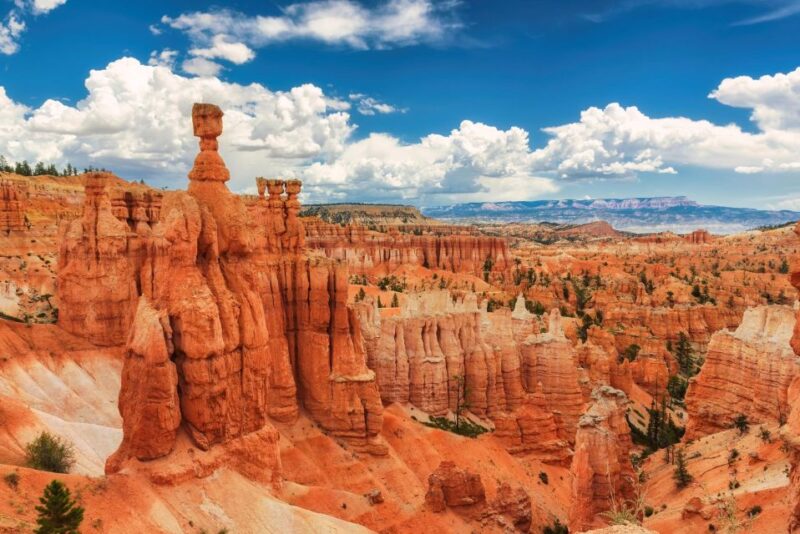 Explore Bryce Canyon: Private Full-Day Tour From Salt Lake - Itinerary Details