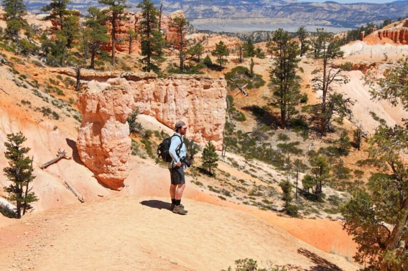 Explore Bryce Canyon: Private Full-Day Tour From Salt Lake - Tour Highlights