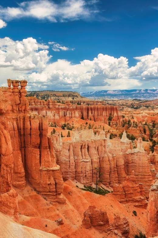 Explore Bryce Canyon: Private Full-Day Tour From Salt Lake - Experience Description