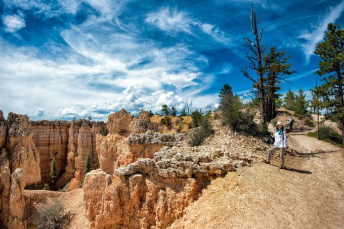 Explore Bryce Canyon: Private Full-Day Tour From Salt Lake - Unique Rock Structures and Formations