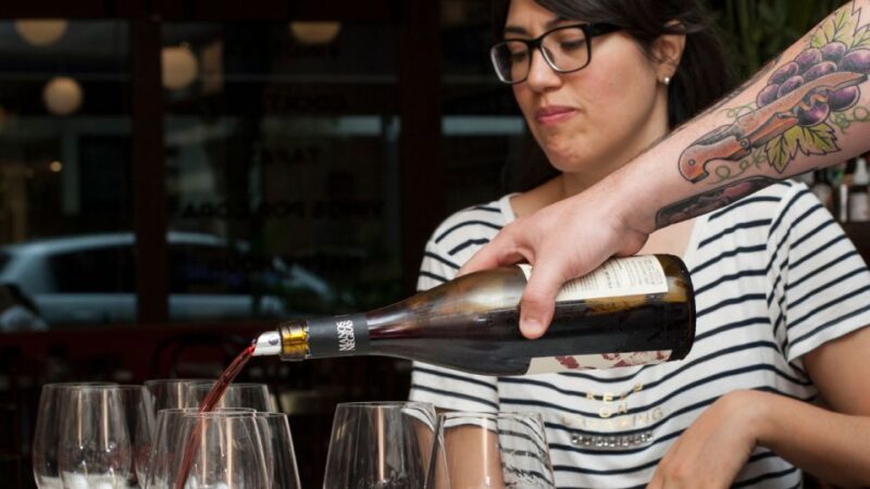 Explore Buenos Aires: Argentine Wine Premium Tasting - Regional Food Pairings