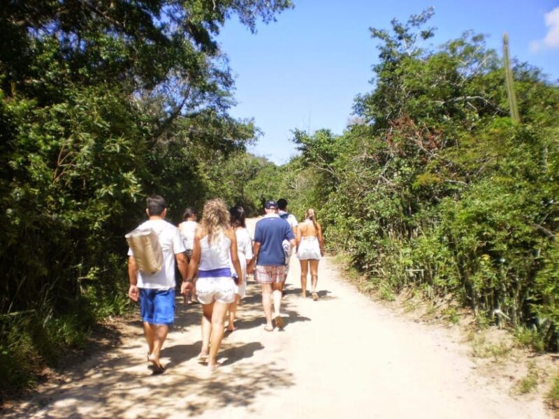 Explore Búzios: Stunning Views on the Emerências Trail - Spotting Wildlife and Nature Photography