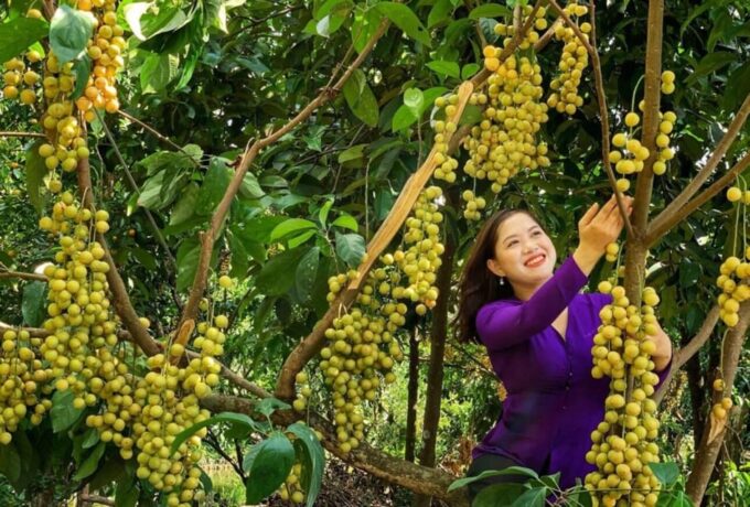 Explore Cai Rang Famous Floating Market in Can Tho - Frequently Asked Questions