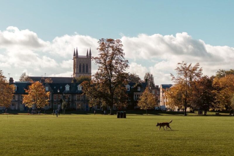 Explore Cambridge With Family – Walking Tour - Admission Fees