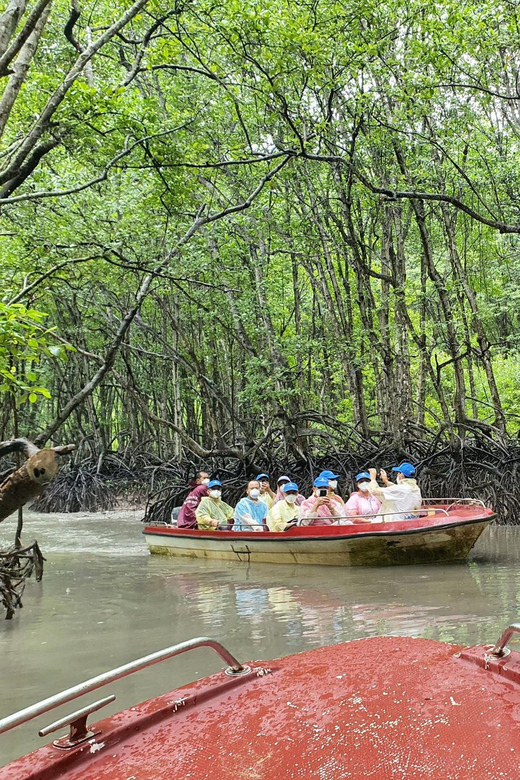Explore Can Gio: Monkey Island Adventure - Crocodile Sanctuary