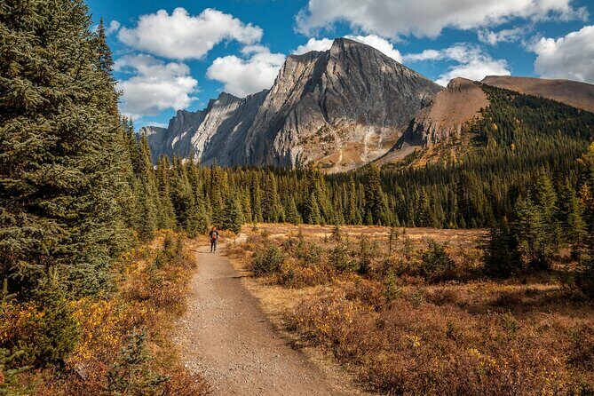 EXPLORE Canmore's HIDDEN Trails and Local Landmarks - 3H Hike - Why This Tour Stands Out