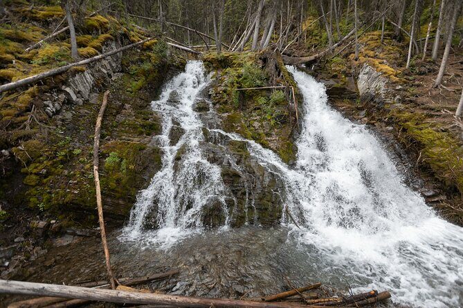 EXPLORE Canmore's HIDDEN Trails and Local Landmarks - 3H Hike - Who Should Consider This Tour?