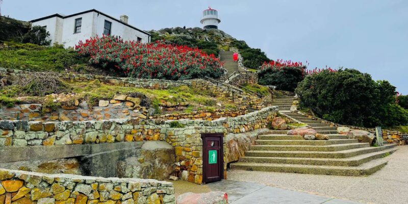 Explore Cape of Good Hope and Boulders Beach: Private Tour - Important Information