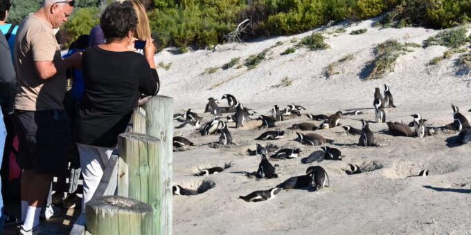 Explore: Cape of Good Hope and Penguins Full-Day Tour - Entry Fees