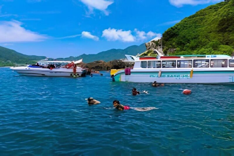 Explore Cham Island: Sightseeing and Snorkeling Adventure - Key Points