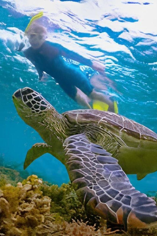 Explore Cham Island: Sightseeing and Snorkeling Adventure - Itinerary Highlights
