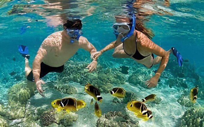 Explore Cham Island: Sightseeing and Snorkeling Adventure - Marine Protected Area and Attractions