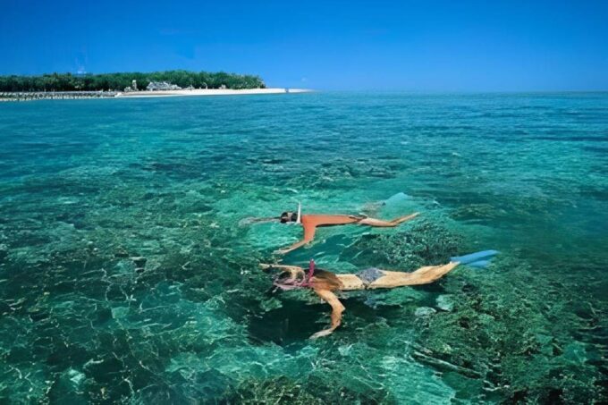 Explore Cham Island: Sightseeing and Snorkeling Adventure - Seafood Lunch and Beach Relaxation