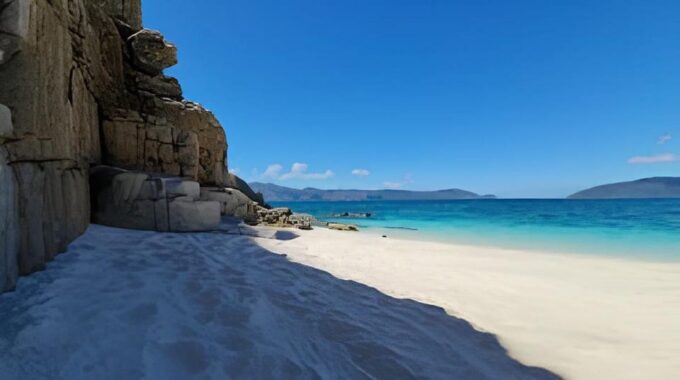 Explore Cham Island: Sightseeing and Snorkeling Adventure - Booking Information and Availability