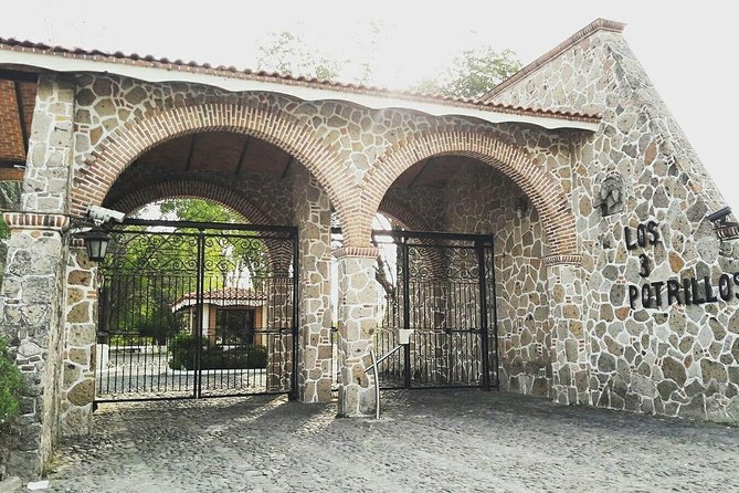 Explore Chapala With a Visit to Tonalá, Three Foals, Ajijic and More - Visiting Chapala and Ajijic