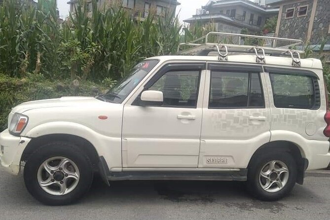 Explore Chitwan National Park in Comfort With Our Private Vehicle Service - Good To Know
