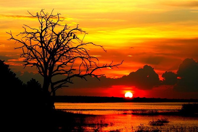 Explore Chobe National Park With a Day Trip From Victoria Falls - Important Travel Information