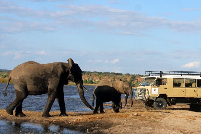 Explore Chobe National Park With a Day Trip From Victoria Falls - Preparing for the Adventure