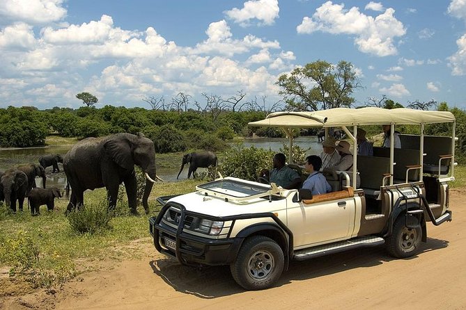 Explore Chobe National Park With a Day Trip From Victoria Falls - Highlights of the Safari
