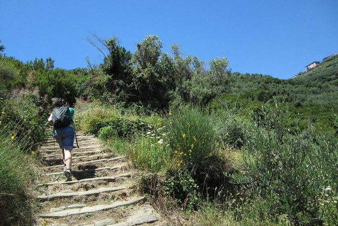 Explore Cinque Terre From Florence - Seafood Lunch and Free Time