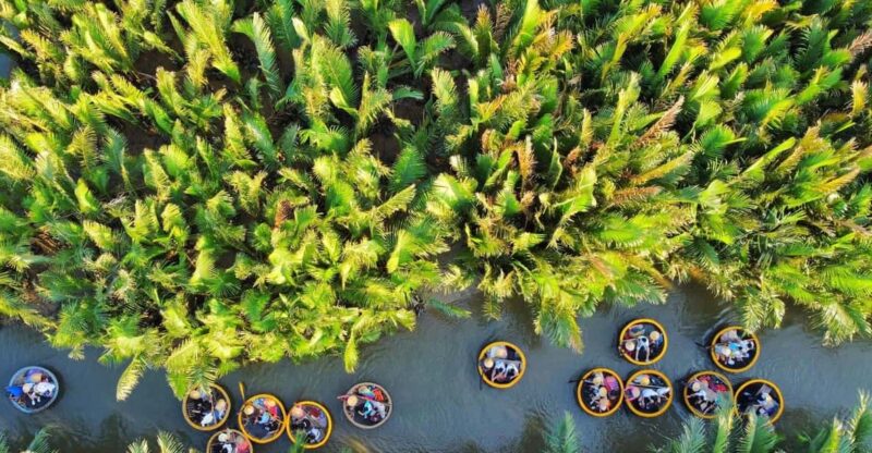 Explore Coconut Village Forest - Cam Thanh With Tour Guide - Itinerary