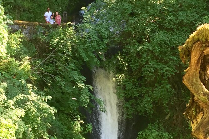 Explore Columbia River Gorge Half-Day Small-Group Hiking Tour - Itinerary Flexibility and Hiking Experience