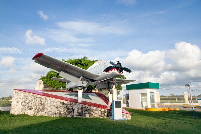 Explore Cozumel your Way Private Island Tour with Pro Guide - Authentic Experiences and Local Flavor