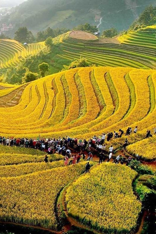 Explore Cultural Unique of Mu Cang Chai - Itinerary Highlights