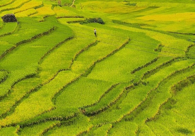 Explore Cultural Unique of Mu Cang Chai - Cultural Experiences