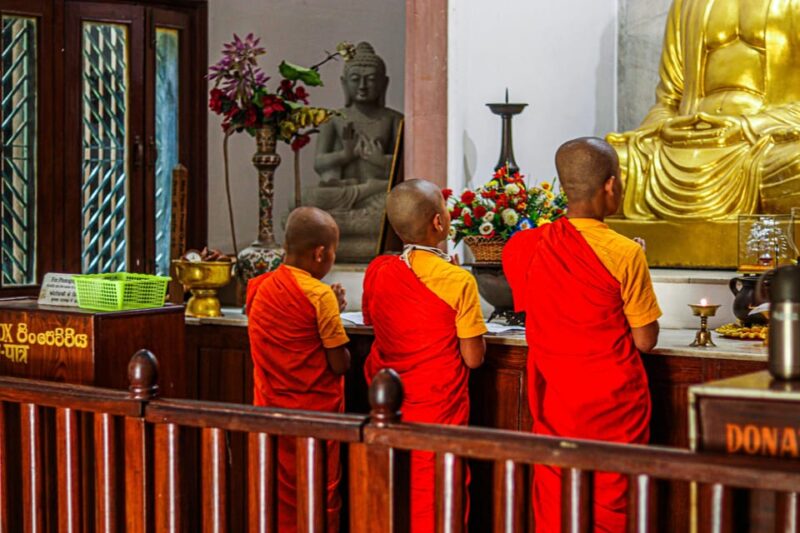Explore Dharamshalas Monasteries for Tibetan Spirituality - Monastery Experiences