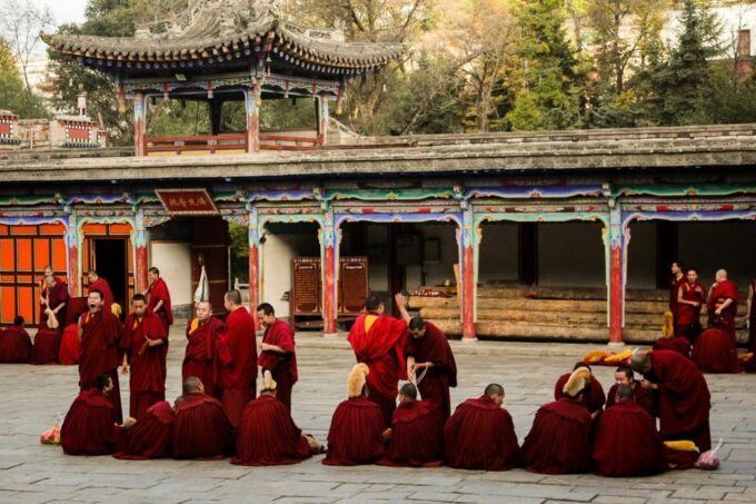 Explore Dharamshalas Monasteries for Tibetan Spirituality - Booking Details