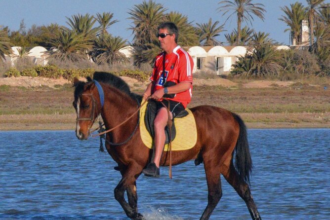 Explore Djerba With Our Four-Legged Friends - Whats Included