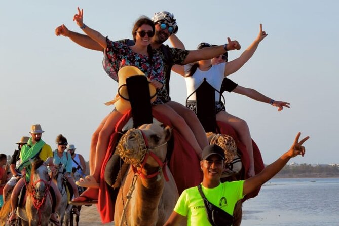 Explore Djerba With Our Four-Legged Friends - Booking Information
