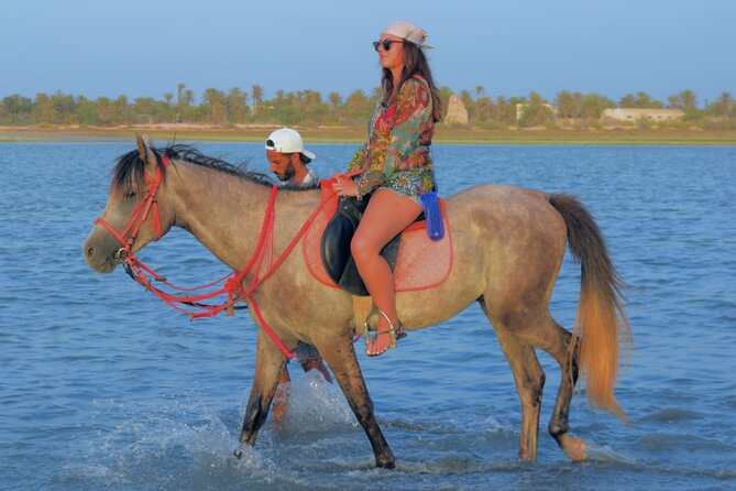 Explore Djerba With Our Four-Legged Friends - Animal Interactions