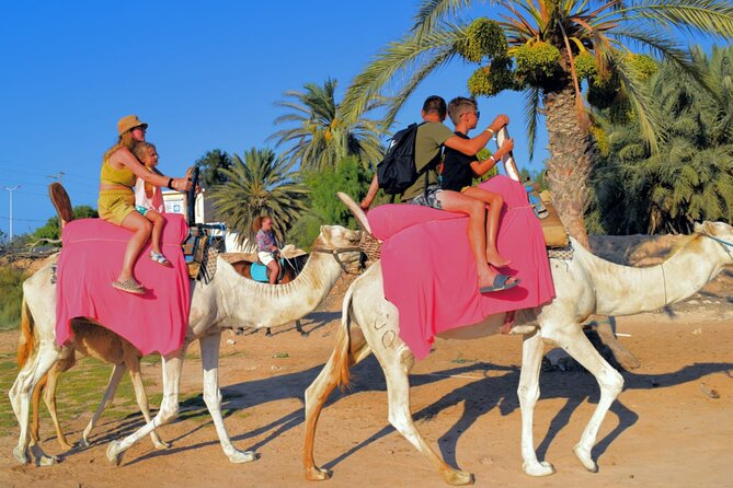 Explore Djerba With Our Four-Legged Friends - Accessibility and Safety