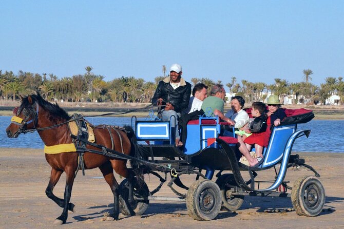 Explore Djerba With Our Four-Legged Friends - Exploring Djerba
