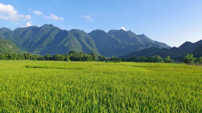 Explore Ecotourism in Private Mai Chau With Biking Tour - Inclusions and Amenities