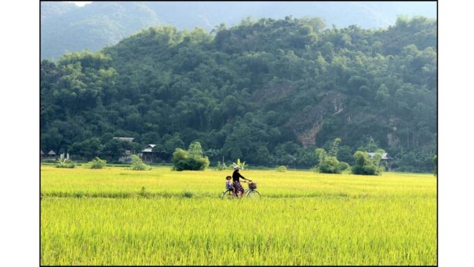 Explore Ecotourism in Private Mai Chau With Biking Tour - Timing and Availability
