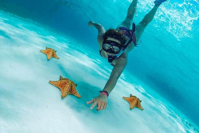 Explore El Cielo in Cozumel. Snorkel in 3 Different Reefs & Visit Cielito Beach. - Snorkeling at Colombia Reef
