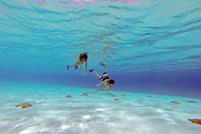 Explore El Cielo in Cozumel. Snorkel in 3 Different Reefs & Visit Cielito Beach. - Snorkeling at Palancar Reef